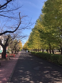 木村秀政と平山善吉展