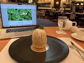 パティスリーサツキのスーパーモンブラン