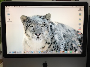 Snow Leopard